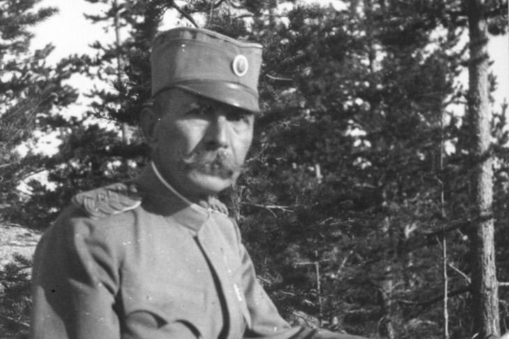 војвода Петар Бојовић